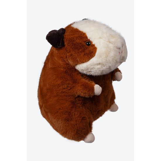 image-1283db70a6744a9dbaf53a09687dc18d