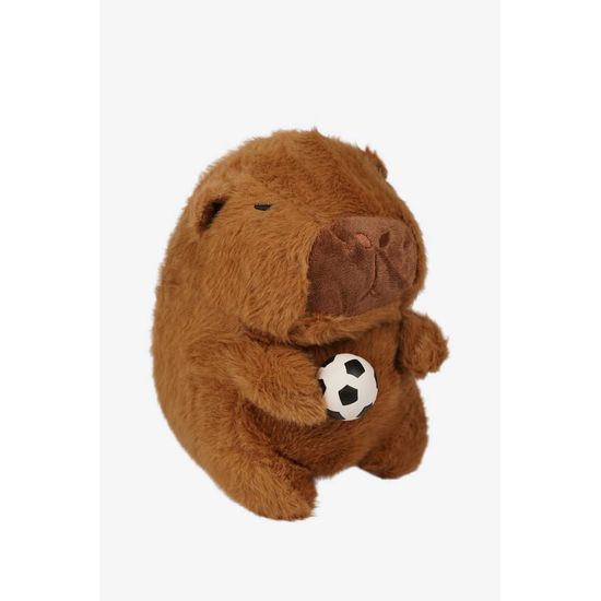 image-eba826dac9794974a73f648a5ad51703