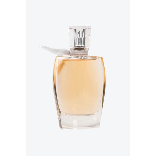 image-569245264b8d40359919ceafd600c40b