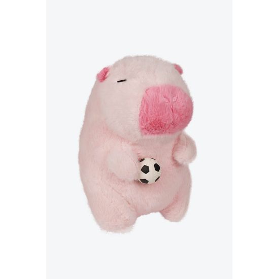 image-d56aac3cce95489884f507043d2e44f5