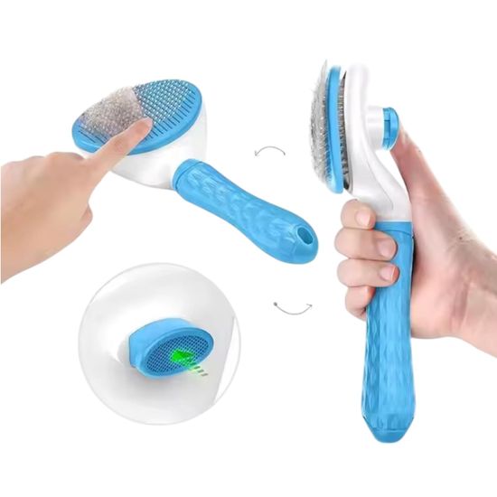 image-1a24a5c95d6e49f4b75456c216273e7d